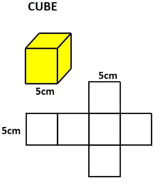 cube net def