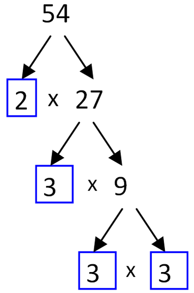 54 prime factor tree