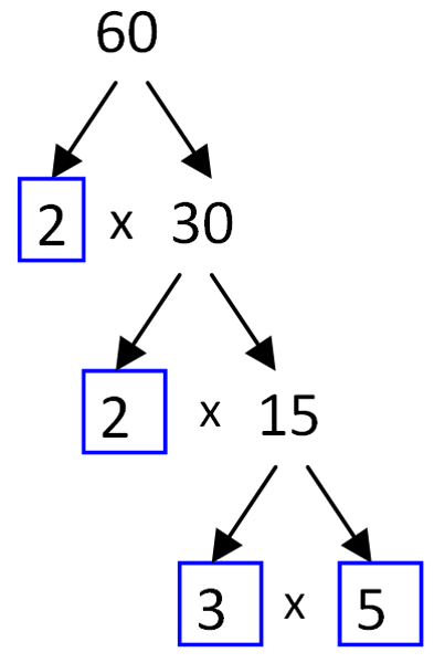 60 prime factor tree