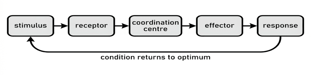 bio control system
