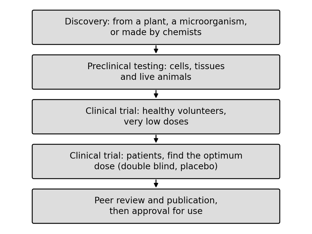 bio drug development stages