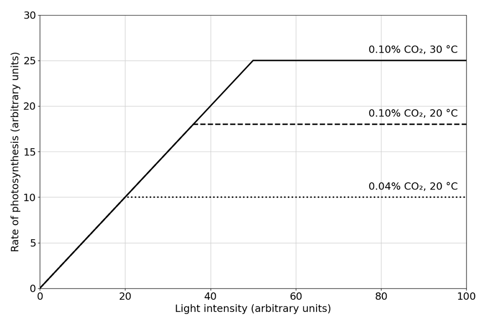 bio limiting factors graph
