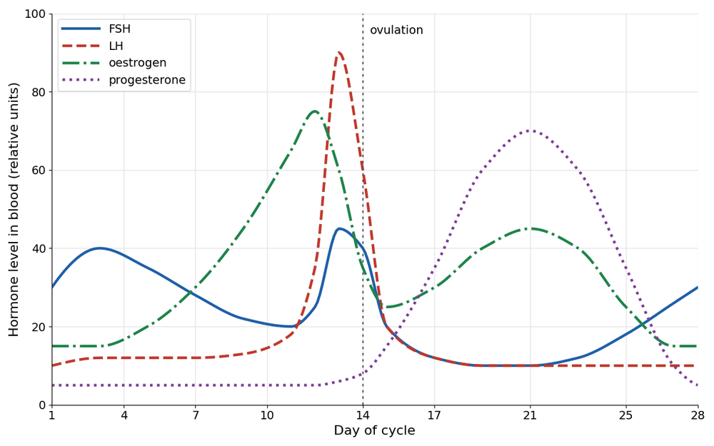 bio menstrual hormone graph