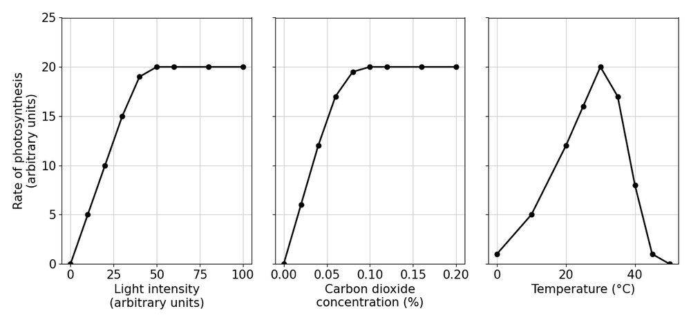 bio photosynthesis rate factors