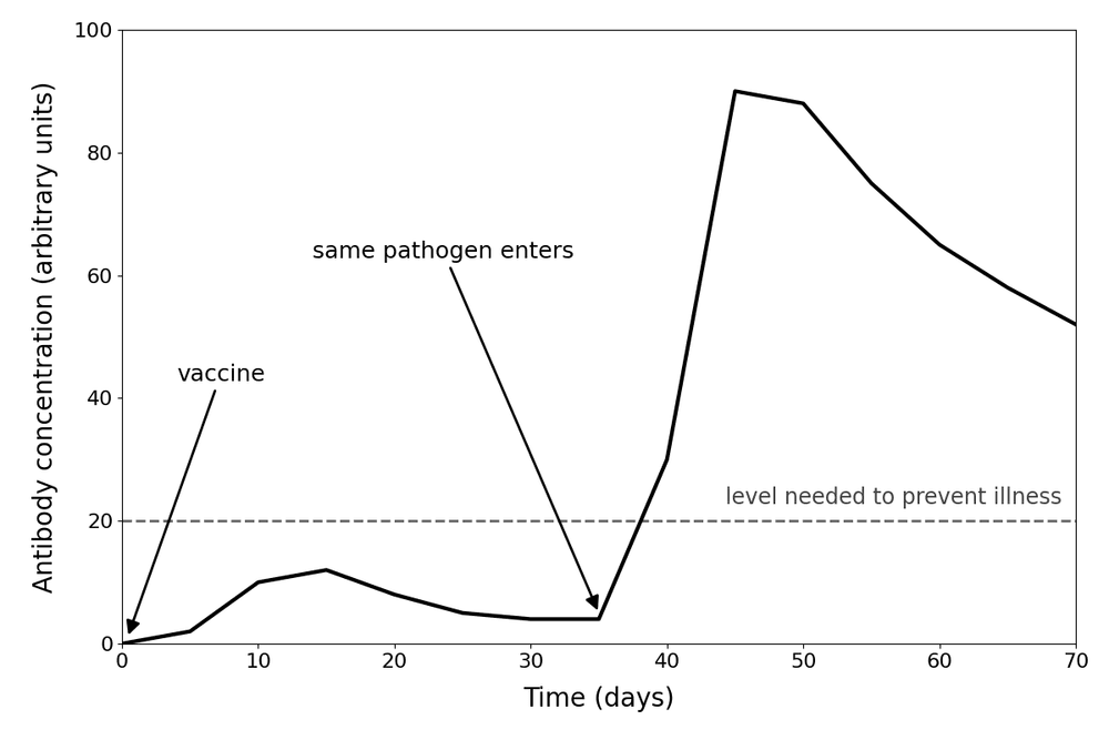 bio vaccination antibody graph