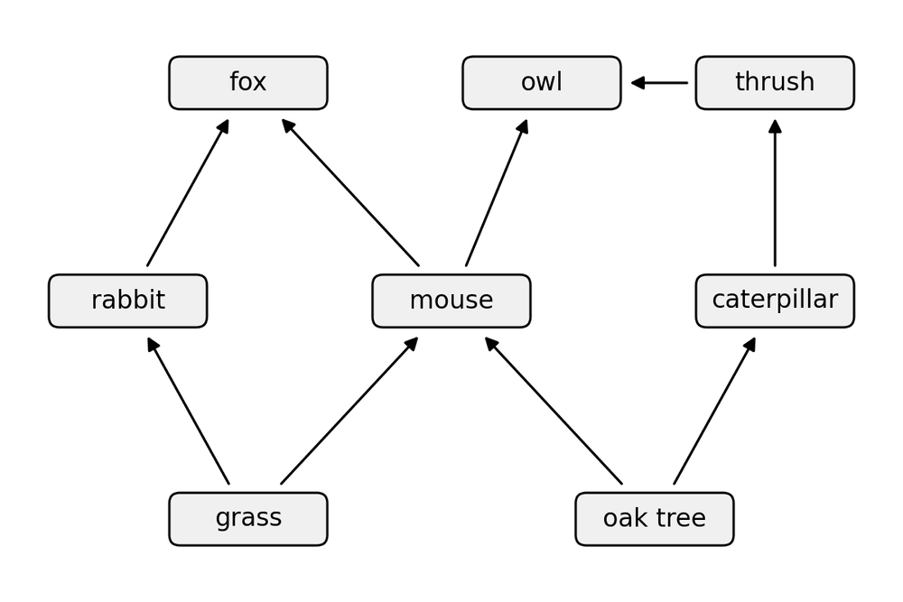 bio woodland food web