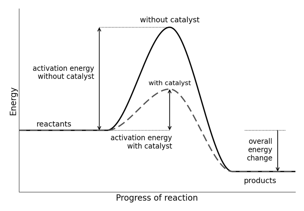 chem catalyst reaction profile
