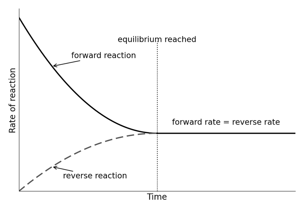 chem equilibrium rates graph
