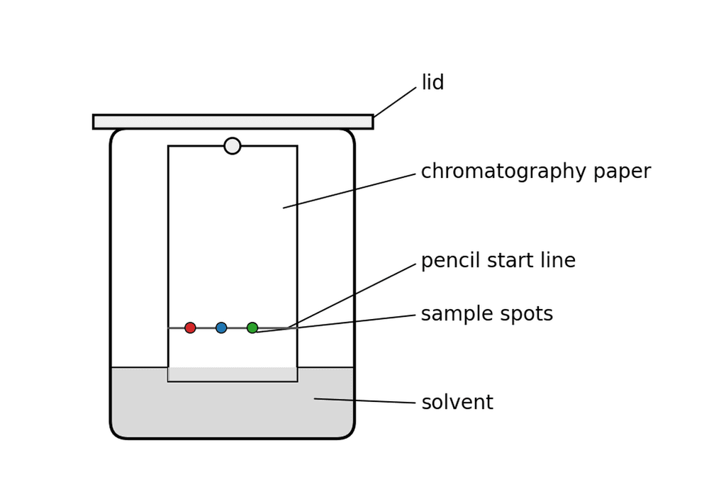 chem paper chromatography setup