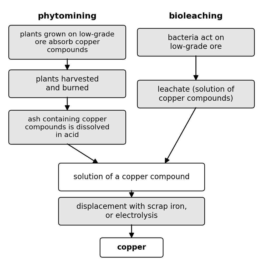 chem phytomining bioleaching