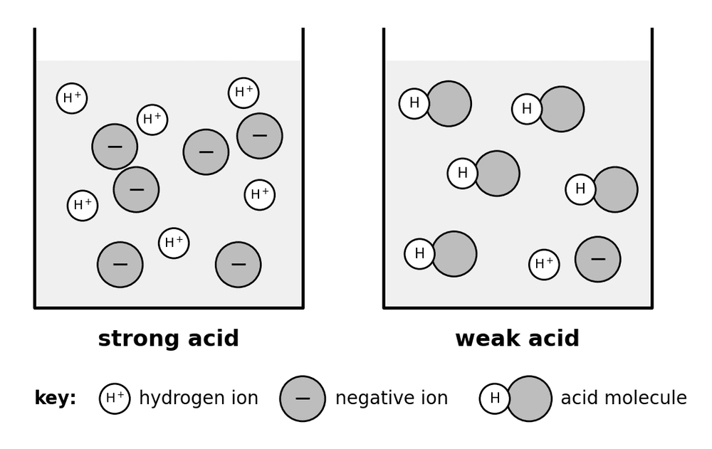 chem strong weak acid ionisation