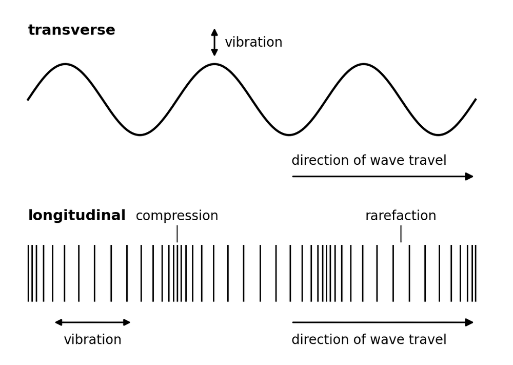 phys transverse longitudinal